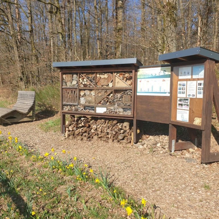 Insektenhotel mit Schautafel, umgeben von Bäumen und grünem Gras, neben einer Liege.